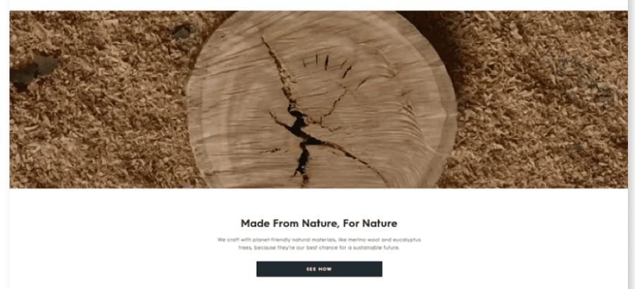 Allbirds Landing Page