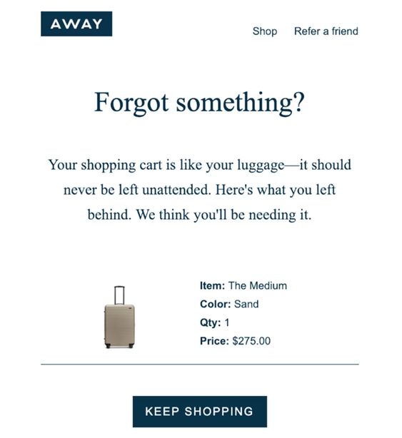 Abandoned Cart Email